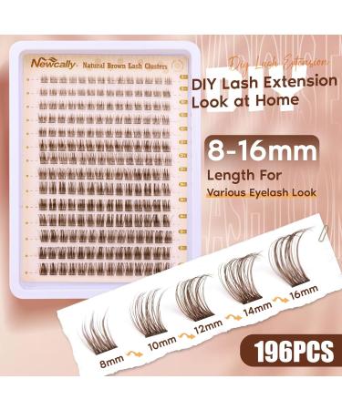Buy Brown Lash Clusters - Natural Look Wispy Eyelash Extensions C Curl | DIY Home Lash Extensions by Newcally Cluster-B - Buy Online on GoSupps.com