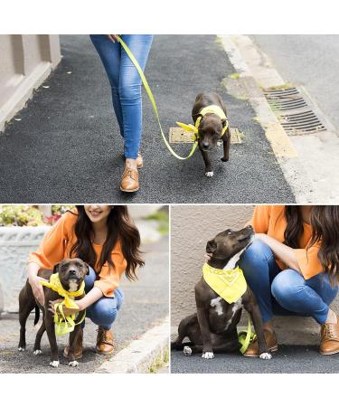 Waterproof Track Line Dog Leash 3m | Soft Grip Handle & Storage Bag | Durable Long Drag Line for Large Dogs - Yellow - Buy Online on GoSupps.com