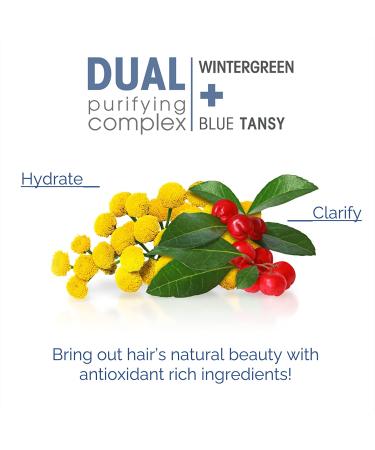 Giovanni 2chic Clarifying & Calming Conditioner - Wintergreen & Blue Tansy 8.5 fl oz - Buy Online on GoSupps.com