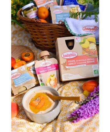 Babybio - Organic Apple Gourds from Nouvelle-Aquitaine/Orange/Banana - From 6 months - 360g - Buy Online on GoSupps.com