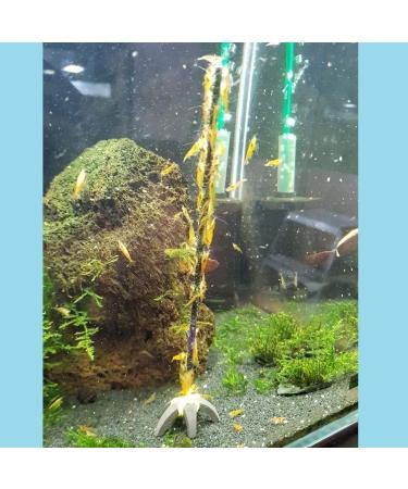 Buy Shrimp Lollies Super Mix - 11 Lollipops for International Shipping | Delicious Seafood Treats - Buy Online on GoSupps.com