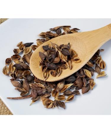 TCM Herbs USA / Lian Qiao / Forsythia Suspensa / Fructus Forsythiae (4 oz)