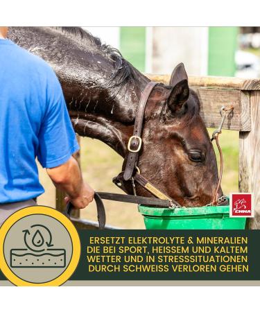 Emma Electrolyte for Horses 1L + Vitamin B12 | Essential Minerals for Optimal Equine Health - Buy Online on GoSupps.com