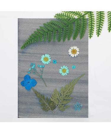Sensitivity Nature Printing Paper Set - 32 Sheets Sun Print Cyanotype Paper for Kids & Adults - Arts Crafts DIY Project - A4 & A5 Sizes - Buy Online on GoSupps.com
