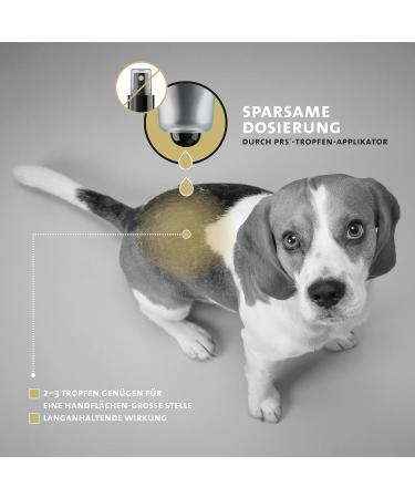 Peticare Eczema Care for Dogs | Relieves Itching & Promotes Skin Regeneration | PRS System | Effective Dermatitis Treatment - Petdog Health 2100 100 ml - Buy Online on GoSupps.com