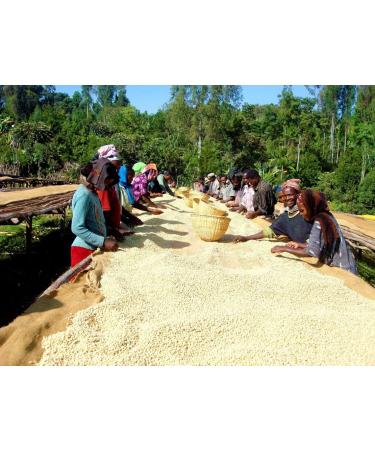Kaphi Beans Sweet Blue Mountain Roasted Coffee- Medium Roast- Arabica Coffee Beans- Sweet & Smooth (Wholebean 2kg) Wholebean 1 count (Pack of 1) - Buy Online on GoSupps.com