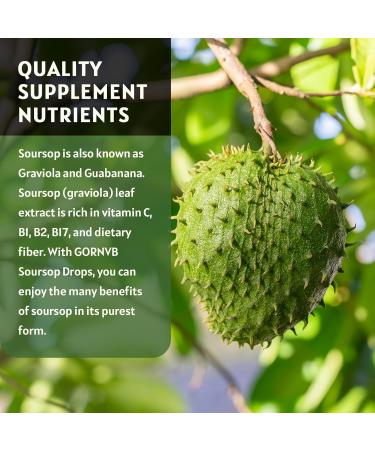 (2 Pack) Soursop Graviola Liquid Drops 1800mg 98% Absorption Soursop Bitters Liquid for Cell Support & Regeneration Immune Boost Relax Liver and Sleep Herbal Goodness Gluten Free 1 Fl Oz Natural - Buy Online on GoSupps.com