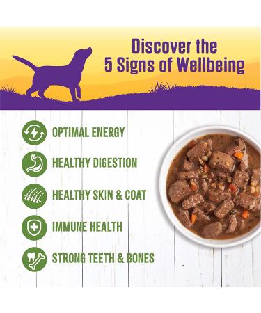 Wellness Thick & Chunky Natural Canned Dog Food - Lamb & Beef Stew, 12.5 oz (Pack of 12) - Buy Online on GoSupps.com