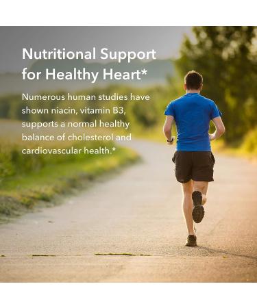 Niacin Vitamin B3 250mg 90 Veg Capsules - Essential Heart Health Supplement - Buy Online on GoSupps.com