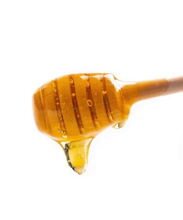 Wholesome Yum Zero Sugar Honey Substitute - Keto Friendly with Monk Fruit & Allulose | 11 oz Bottle - Buy Online on GoSupps.com