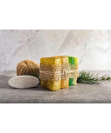 SABUN CO. Coconut Oil Loofah Soap 4.40 oz - Natural Exfoliating & Moisturizing Soap Bar with Jojoba Oil, Witch Hazel - Handmade for Soft Skin - Buy Online on GoSupps.com