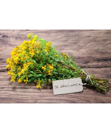 St. John's Wort Herb Tea | Hypericum Perforatum L | Millepertuis Perfor Herbe Tisane | Health Embassy (100g) - Buy Online on GoSupps.com