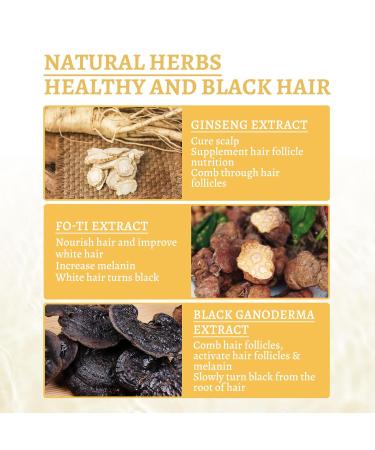 Black Shouwu Nourishing Serum | Natural Ganoderma Anti-Greying Hair Serum for Thicker Stronger Hair - Buy Online on GoSupps.com