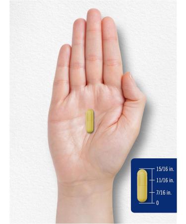 Carlyle Quercetin 500mg Capsules | with 50mg Zinc | 100 Count | Non-GMO and Gluten Free Supplement - Buy Online on GoSupps.com