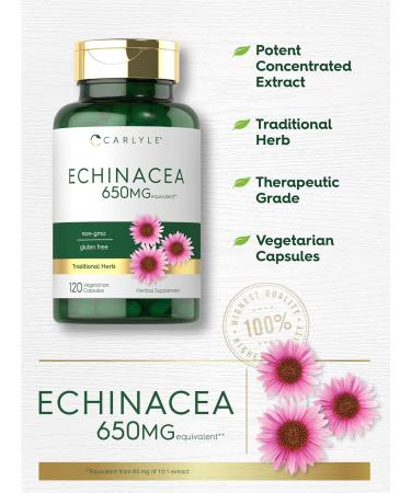 Carlyle Echinacea | 120 Capsules | Vegetarian Non-GMO & Gluten Free Supplement - Buy Online on GoSupps.com