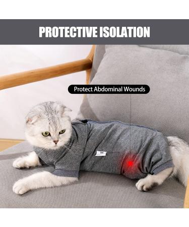 HEYWEAN Cat Professional Surgical Recovery Suit for Abdominal Wounds Skin Diseases  After Surgery Wear  E-Collar Alternative for Cats  Home Indoor Pets Clothing Medium Grey - Buy Online on GoSupps.com