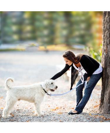 Tag Trag Dog Leash 15m - Waterproof Training Line for Small & Medium Dogs - Light Blue with Handle & D-Ring - Buy Online on GoSupps.com