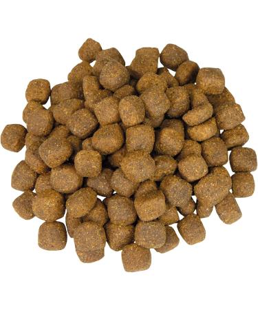 Schecker Veggie Dry Vegetarian Dog Food Ideal for All Meat Allergies 12kg - Buy Online on GoSupps.com