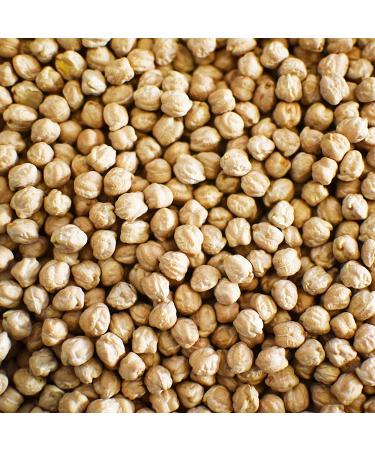 Little Chickpea All-Natural Chickpea Butter 16oz Jar | Non-Dairy, Gluten-Free, Soy-Free, Nut-Free | High Fiber, High Protein, Non-GMO, Kosher | Sustainable & Allergy-Free Spread - Buy Online on GoSupps.com