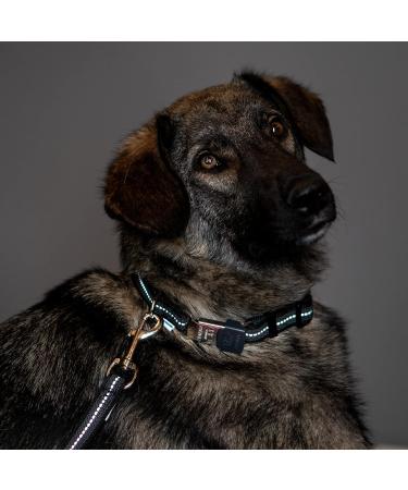 Rubberized Black Dog Leash Without Hand Loop - 100 cm (1m) | Durable & Stylish | International Shipping Available - Buy Online on GoSupps.com