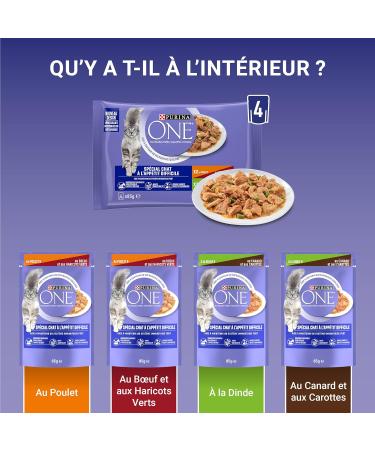 PURINA ONE Cat with Hard Appetite Tapered in Sauce Assorted Flavors Chicken & Beef & Turkey & Duck | Adult Cat Meal Bags | 4 - Buy Online on GoSupps.com