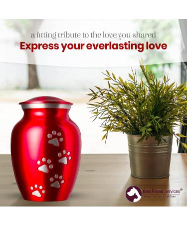 Best Friend Services Ottillie Paws Legacy Pet Urn - Large Ruby Red Brass Cremation Urn for Dogs & Cats Ashes - Hand Carved Memorial Keepsake with Vertical Pewter Paws - Buy Online on GoSupps.com