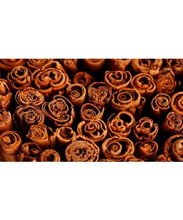 Ceylon Cinnamon Stick Bark Quills - 21 Inch | Cinnamomum Verum from Sri Lanka - Perfect for Sweet and Savoury Dishes - Natural, Vegan, GMO Free - 1 Quill - Buy Online on GoSupps.com