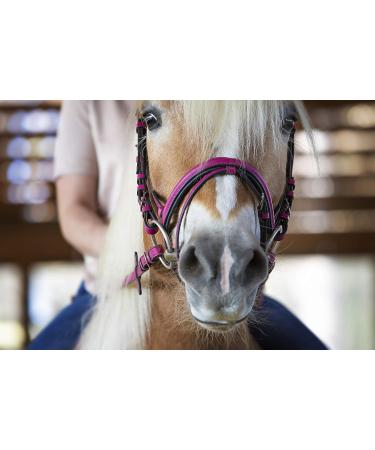 Indira Bridle Pro for Full Warmblood - Pink 02 | Premium Equestrian Gear Shipping Worldwide - Buy Online on GoSupps.com