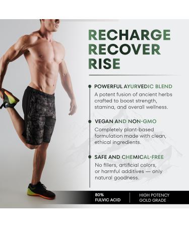 VITALRYZE Himalayan Shilajit Gummies with Ashwagandha Maca Root & Cordyceps Supports Energy Vitality & Focus Testosterone & Stamina Himalayan Shilajit Organic Travel Friendly 60 Gummies - Buy Online on GoSupps.com