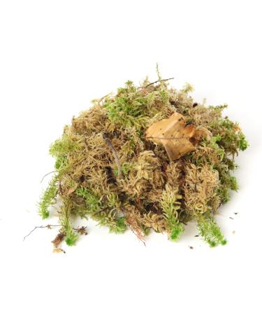 Fresh Sphagnum Moss Live 5 kg - Ideal for Orchids & Terrariums | Premium Quality eCommerce Shipping Internationally - Buy Online on GoSupps.com