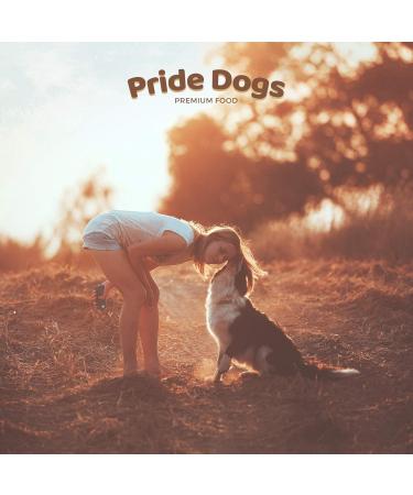 Prideedogs Cattle Ears with Shell - 5 Premium Beef Dog Treats | 100% German Quality | Odor-Neutral Bag | Ideal Chewing Snack - Buy Online on GoSupps.com
