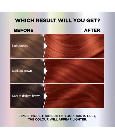 Garnier Nutrisse Ultra Color Permanent Hair Dye Vibrant Long-Lasting Colour Vegan Formula Nourished Hair Protects Hair Against Dryness 564 Terracotta Chili 1 Application Packaging May Vary RED SHADES 564 Terracotta Chili - Buy Online on GoSupps.com