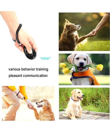 DogCatz Hybrid Dog Clicker and Whistle Training Train Your Pet Dogs and Cats in Obedience (Pink) - Buy Online on GoSupps.com