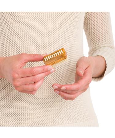 Redecker Natural Pig Bristle Travel Nailbrush with Waxed Olive Wood Handle - 2-1/4-Inches - Buy Online on GoSupps.com