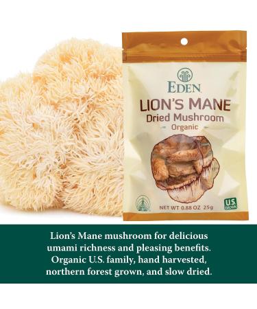 Eden Lion's Mane Dried Organic Mushroom Hericium erinaceus 0.88 oz (25g) - Buy Online on GoSupps.com