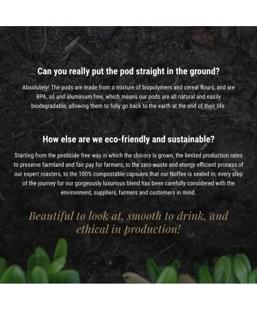 Noffee Premium Chicory Coffee Alternative - Caffeine-Free & Gut-Friendly - Vegan & Gluten-Free - Sustainably Sourced Medium to Dark Blend - 8 Compostable Pods - Buy Online on GoSupps.com