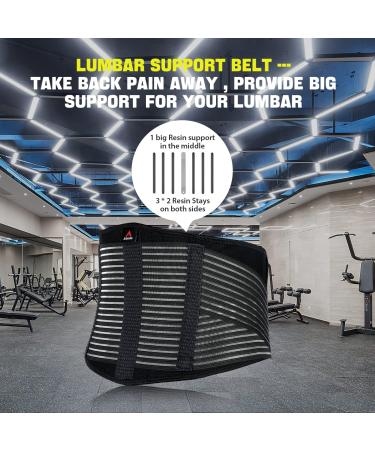Lumbar Back Support Brace for Lower Back Pain Relief - Sciatica, Herniated Disc, Scoliosis - Heavy Lifting & Weightlifting - Compression Belt for Men and Women - Medium - Buy Online on GoSupps.com