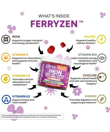 FerryZen Iron Supplement Gummies Choline Supplements Vitamin D3 K2 Ginger Folate Vitamin B12 Zinc 60 Gummies Hemoglobin Support by Clean Nutra - Buy Online on GoSupps.com
