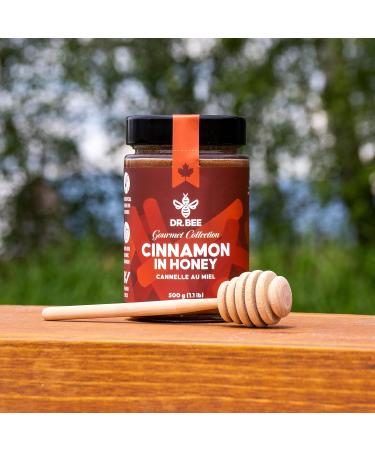 Cinnamon in Honey - Dr. Bee Gourmet Collection Organic Cinnamon Pure Canadian Honey (500g) - Buy Online on GoSupps.com