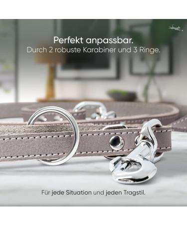 Freudenier 2m Adjustable Dog Leash | Certified Leather | Stylish Gray-Brown | High Quality | Amstelpark Collection | Made in Holland - Buy Online on GoSupps.com