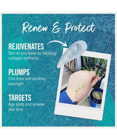 Beauty Kitchen Seahorse Plankton+ 60 Second Manicure 80 g Refillable Eco-friendly Jar Vegan Hand Care Cosmetics - Buy Online on GoSupps.com