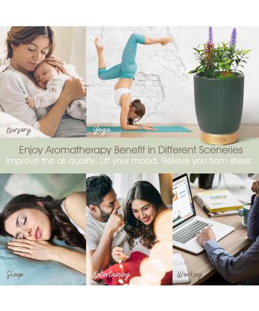 Earnest Living Essential Oil Diffuser - Ceramic Succulent Pot 100ml Night Light Timer & Auto-Off Function for Lavender Aromatherapy - Buy Online on GoSupps.com