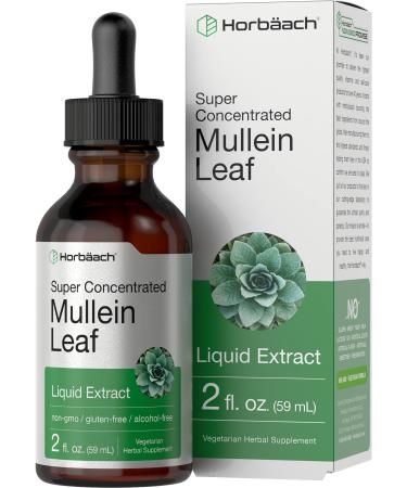 Mullein Leaf Liquid Extract | 2 fl oz | Alcohol Free | Vegetarian, Non-GMO & Gluten Free Supplement | by Horbaach