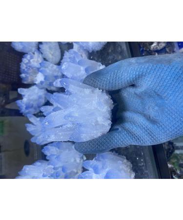 for Novelty Natural Quartz Crystal Purple Ghost Cluster Specimen Cluster Clear Quartz Cluster Gemstones and Crystal dingchi FUZEGRDLI (Color : 8 Size : 400-500g) 400-500g 8 - Buy Online on GoSupps.com