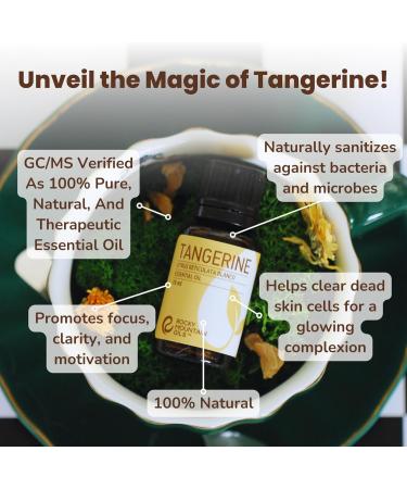 Rocky Mountain Oils Tangerine Essential Oil - 15 ml Natural Aromatherapy for Diffuser & Topical Use - Relaxing Citrus Scent - Buy Online on GoSupps.com