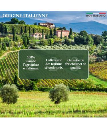 BENVOLIO 1938 Organic Extra Virgin Olive Oil 500ml - 100% ITALIAN Cold Pressed - Buy Online on GoSupps.com