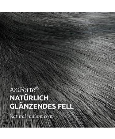 AniForte Fellharmonie Feeding Oil for Dogs & Cats 500ml | Natural Fur Care with Salmon Evening Primrose & Hemp Oils | Omega 3 & 6 for Shiny Fur & Healthy Skin - Buy Online on GoSupps.com