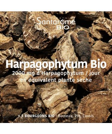 Harpagophytum Bio 2000 - Painful joints Flexibility Mobility - Highly dosed food supplement - 2000mg/day - 20 ampoules - Made In France - Vegan - Santarome Bio - Buy Online on GoSupps.com