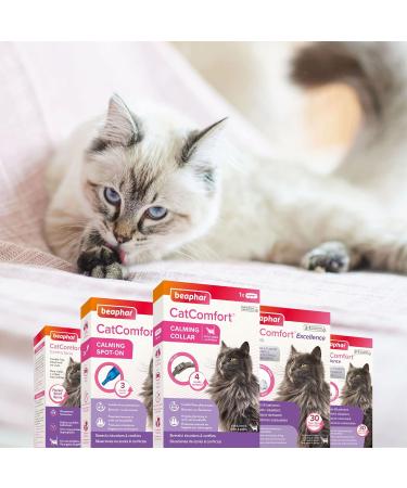 Buy Beaphar Cat Comfort Diffuser & Replacement 48ML - Soothing Solution for Cats | International Shipping Available - Buy Online on GoSupps.com