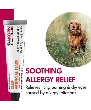Veterinary-Approved Akorn Artificial Tears for Cats and Dogs | Soothes Dry & Irritated Eyes | 3.5g Tube - Buy Online on GoSupps.com